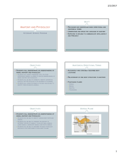 Introduction and Skeletal