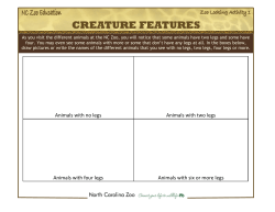 Creature Features - Zoo Looking Activities.pub