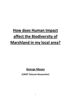 How does Human Impact affect the Biodiversity of Marshland in my