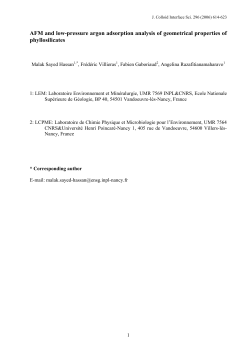 AFM and low-pressure argon adsorption analysis of