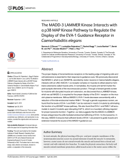 The MADD-3 LAMMER Kinase Interacts with a p38 MAP Kinase