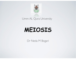MEIOSIS