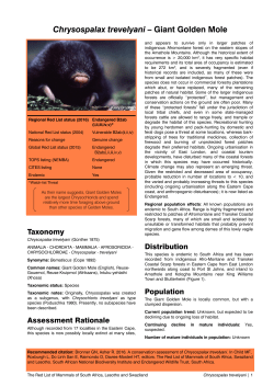 Chrysospalax trevelyani - Endangered Wildlife Trust