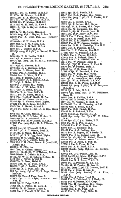 SUPPLEMENT TO THE LONDON GAZETTE, 18 JULY, 1917. 7283