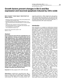 Growth factors prevent changes in Bcl