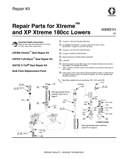 406891H - Repair Parts for Xtreme 180cc Lower, Repair Kit, English