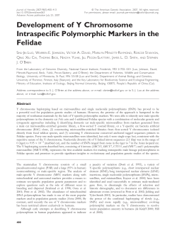 Development of Y Chromosome Intraspecific
