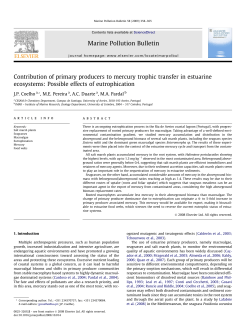 Contribution of primary producers to mercury trophic