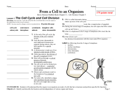 From a Cell to an Organism