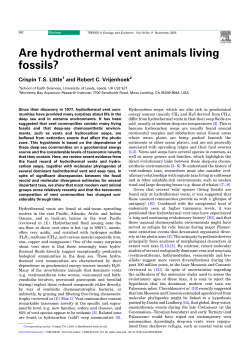 Are hydrothermal vent animals living fossils?