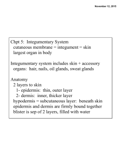 Chpt 5: Integumentary System cutaneous membrane = integument