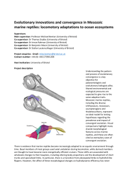Evolutionary innovations and convergence in Mesozoic marine