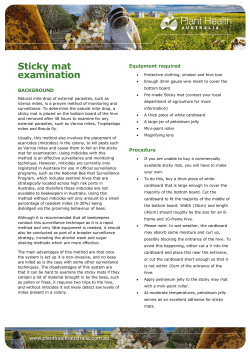 Sticky mat examination