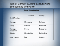 Cultural Evolution