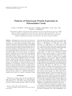 Patterns of Fluorescent Protein Expression in Scleractinian Corals