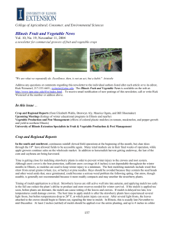 this newsletter in pdf format