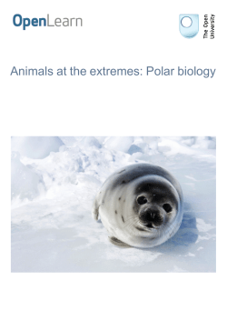 Animals at the extremes: Polar biology