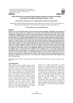 Effect of NaCl Stress on Growth, Water Relations, Organic and