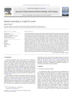 Skeletal mineralogy in a high-CO2 world