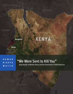 Gang Attacks in Western Kenya and the