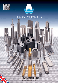 NS Non Standard Punch and Dies