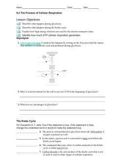 9.2 Cell Respiration Worksheet