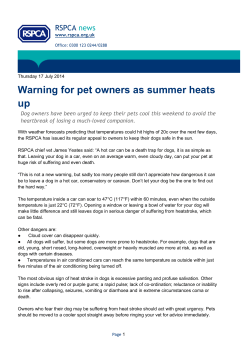 2014 Dogs in hot cars.docx
