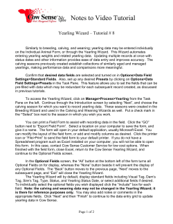 Yearling Wizard Script Notes
