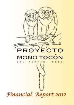 Financial Report 2012