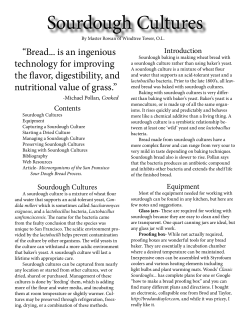 Sourdough Cultures - Canton of Three Hills