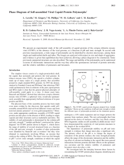Phase Diagram of Self-assembled Viral Capsid Protein Polymorphs