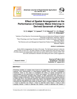 Effect of Spatial Arrangement on the Performance of