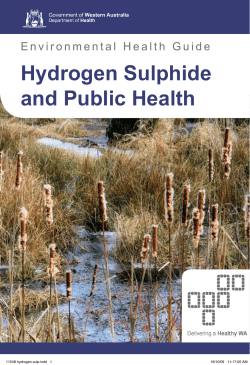 Hydrogen Sulphide and Public Health
