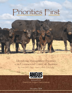 Priorities First - American Angus Association
