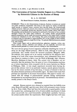 The Conversion of Certain Soluble Sugars to a