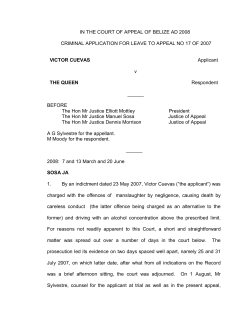 Criminal Appeal No. 17 of 2007-Victor Cuevas and The