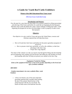 A Guide for Youth Beef Cattle Exhibitors