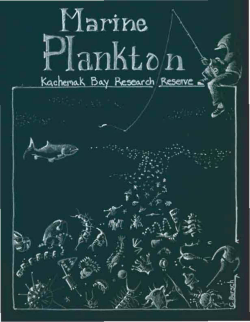 Marine Plankton Color Book - Kachemak Bay Research Reserve