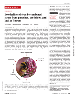 Bee declines driven by combined stress from parasites, pesticides