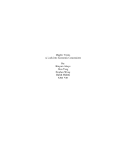 Maglev Trains A Look into Economic Concessions By