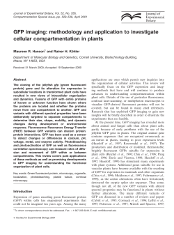 GFP imaging: methodology and application to investigate cellular