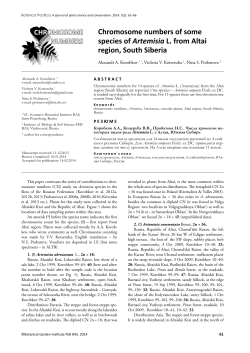 Chromosome numbers of some species of Artemisia L. from Altai