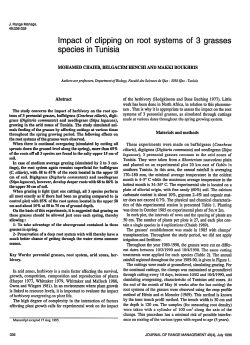 this PDF file - Journals at the University of Arizona