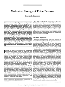 Molecular Biology of Prion Diseases