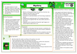 Mystery Fiction Tablemat