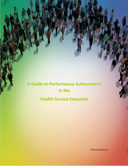 A Guide to Performance Achievement in the HSE