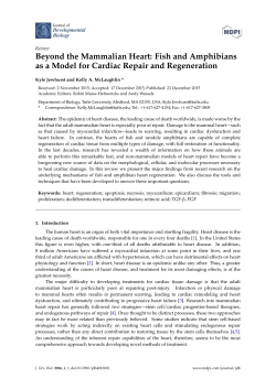 Beyond the Mammalian Heart: Fish and Amphibians as a Model for