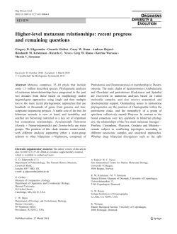 Higher-level metazoan relationships