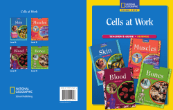 Cells at Work - Palgrave Macmillan Australia