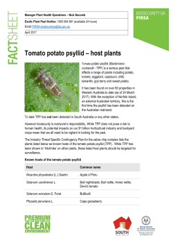 Tomato potato psyllid &ndash; host plants